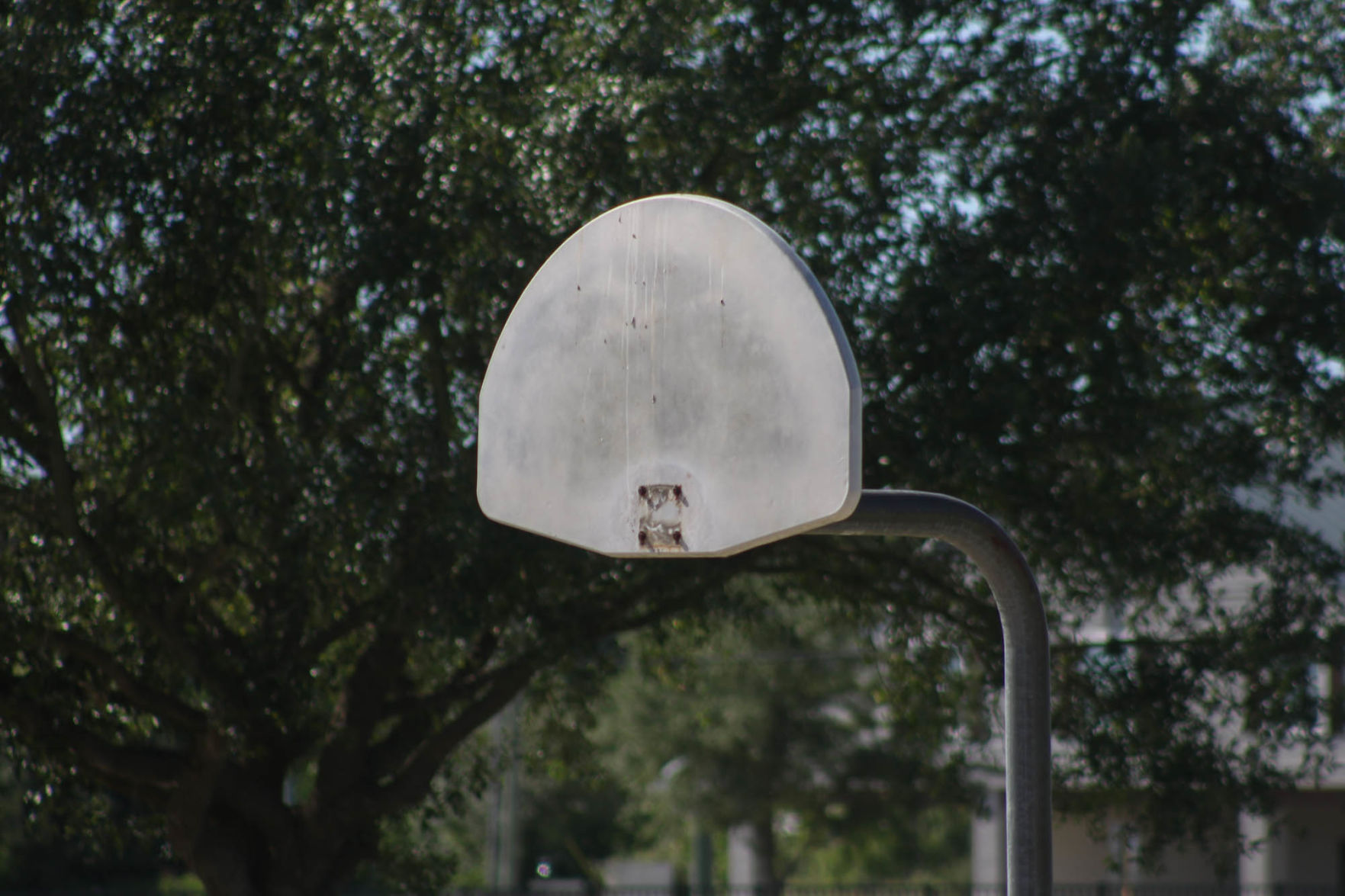 Basketball Hoop